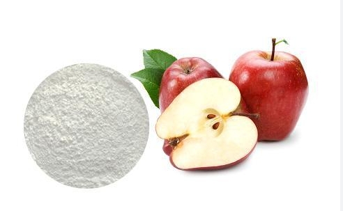 apple powder extract.png